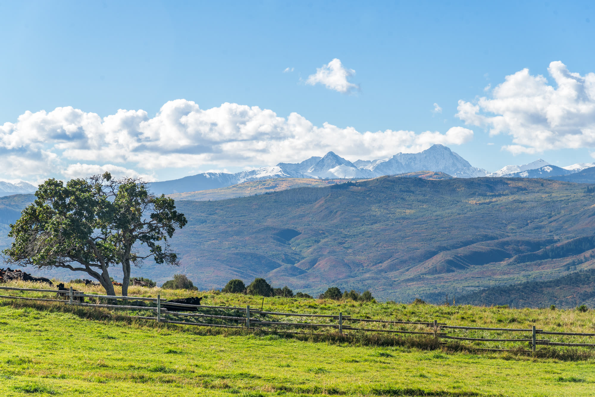 Wide meadow and mountain backdrop